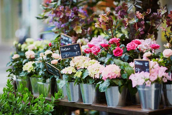 Blumen kaufen, Blumen, Kufstein